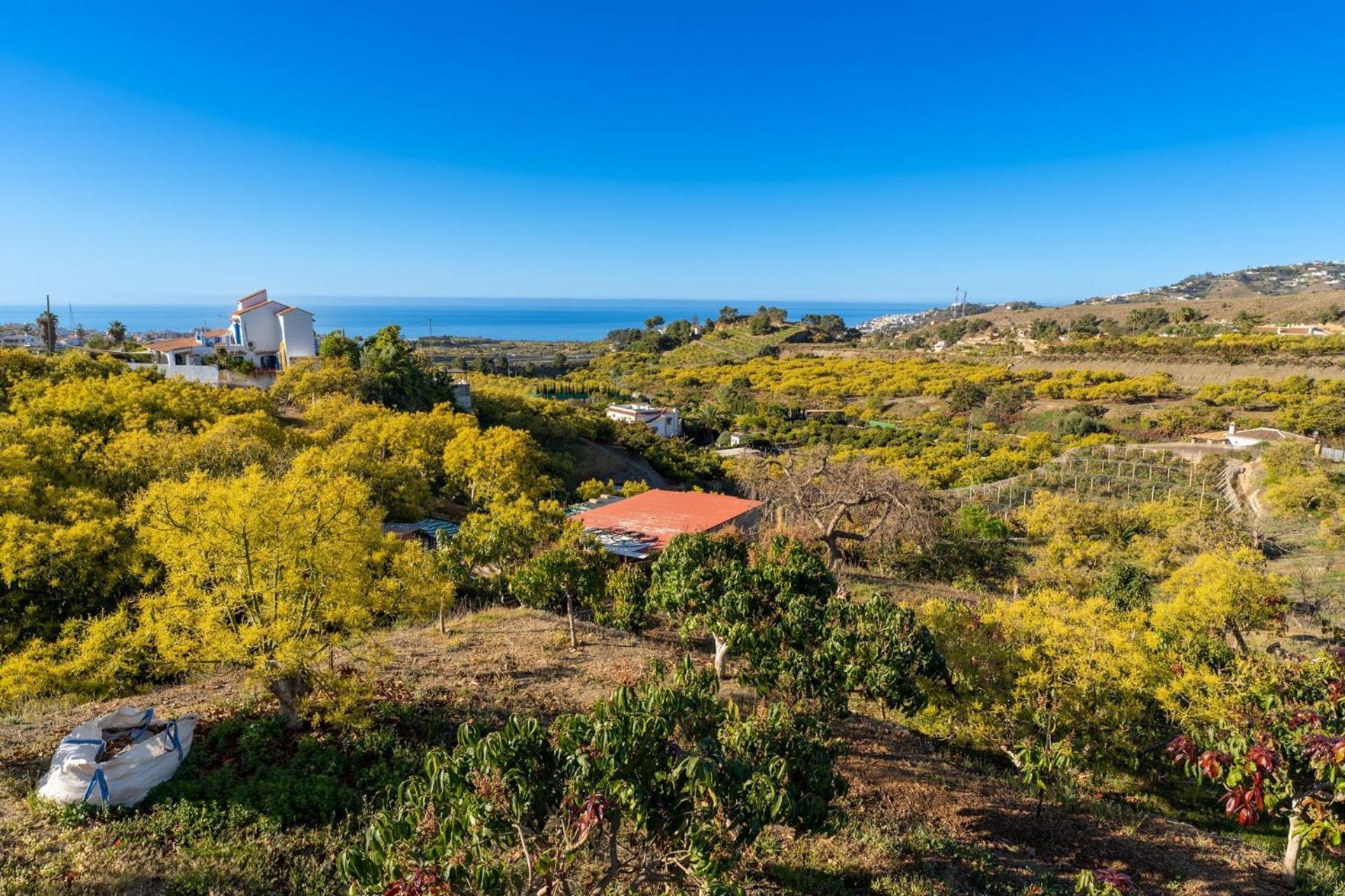 Casa Herrero Nerja Eksteriør bilde